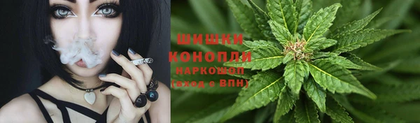 шишки Алексин