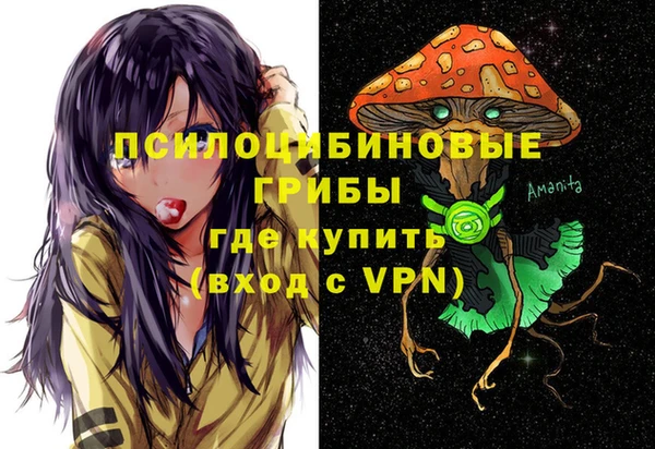 шишки Алзамай