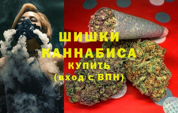 шишки Алзамай