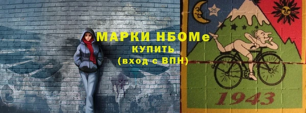 шишки Алексин