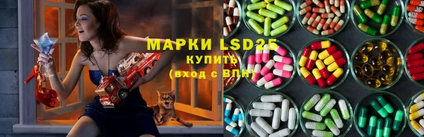 шишки Алексин